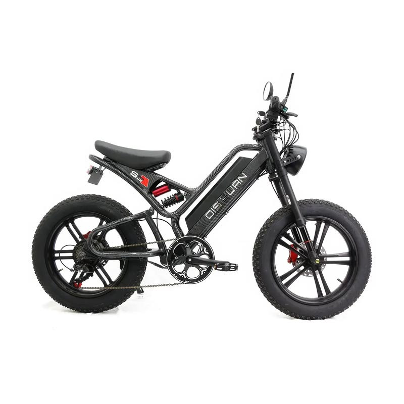 Disiyuan Super S9 Electric Bicycle
